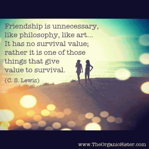 C.S.Lewis Friendship Quotes
 Friendship Is Unnecessary C S Lewis quote words