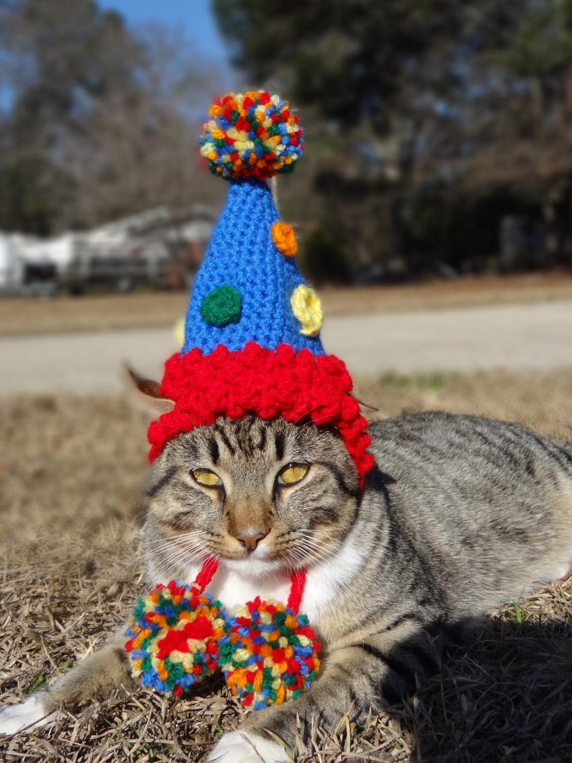Cat Birthday Decorations
 Pet Birthday Hat Party Hat for Cats Party Hat for Dogs Cat