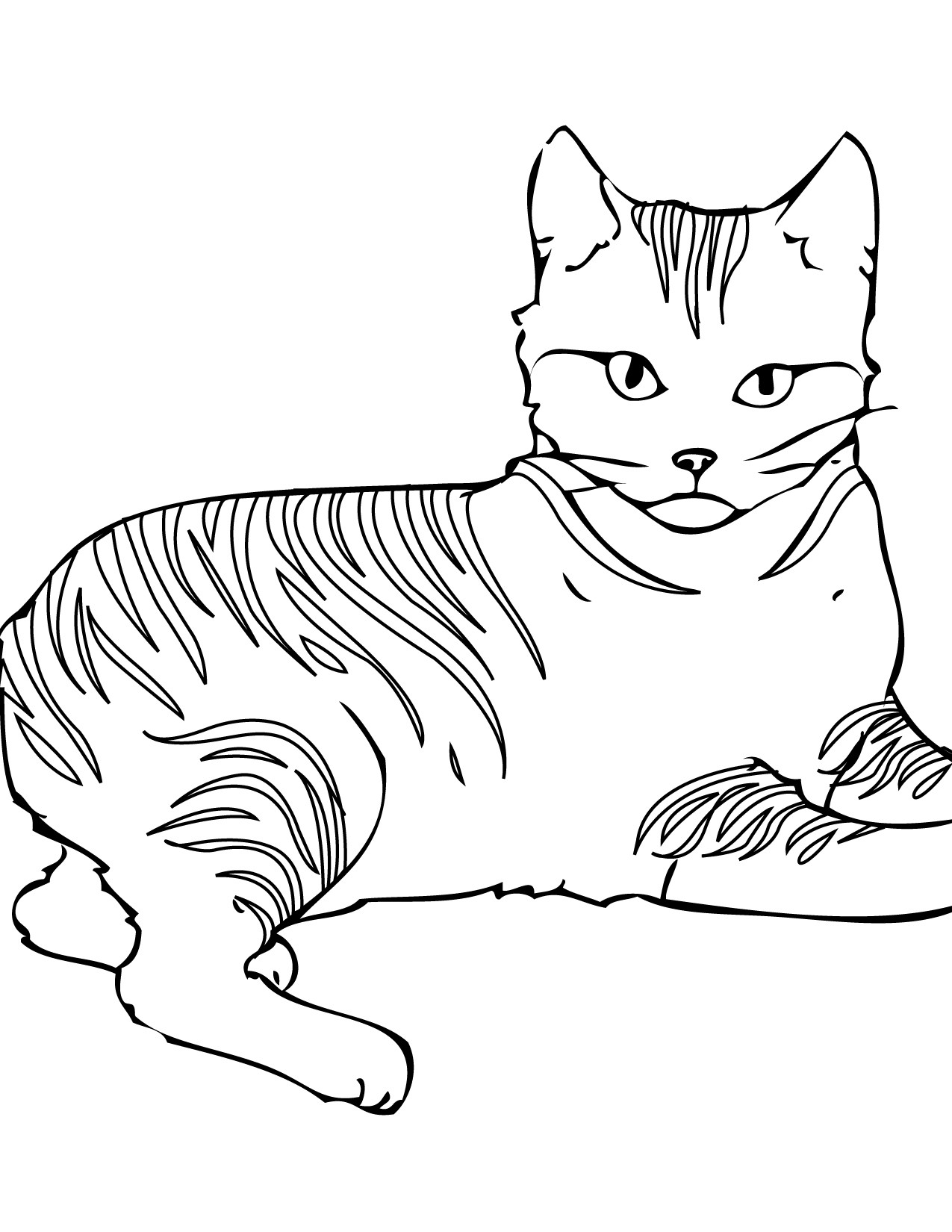 Cat Coloring Pages
 Free Printable Cat Coloring Pages For Kids