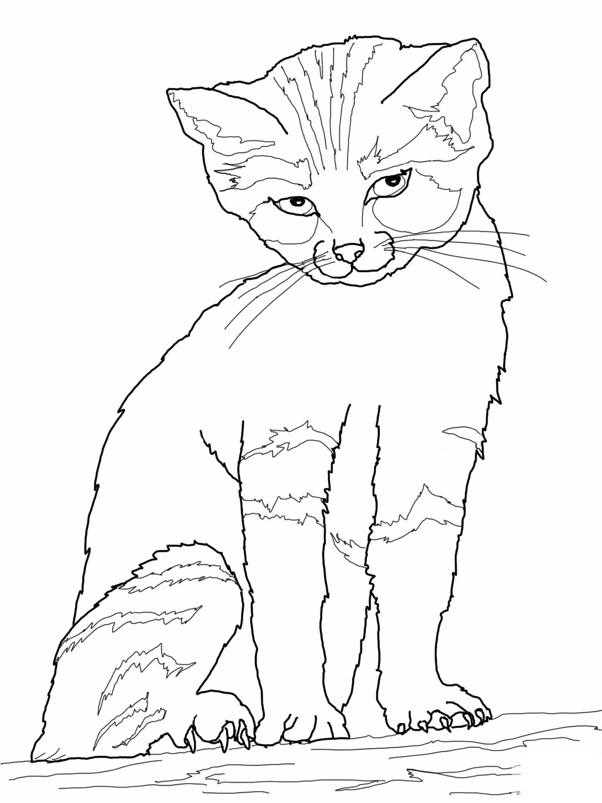 Cat Coloring Pages
 Free Printable Cat Coloring Pages For Kids