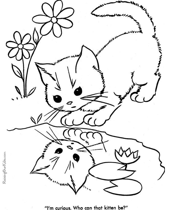 Cat Coloring Pages To Print
 Cat Coloring Sheets cat s pic