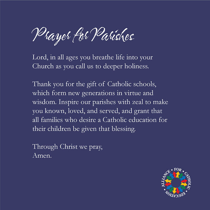 Catholic Education Quotes
 Catholic Schools Week 2014 For Our Parishes ACE at