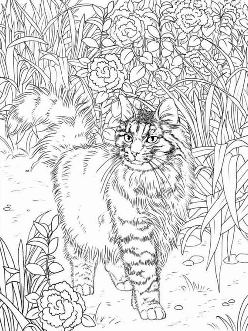 Cats Adult Coloring Book
 Best Coloring Books for Cat Lovers Cleverpedia