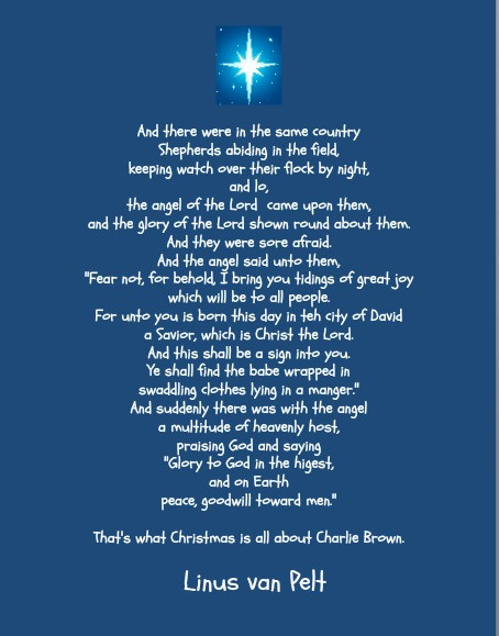 Charlie Brown Christmas Quote
 Counting the Days till Christmas