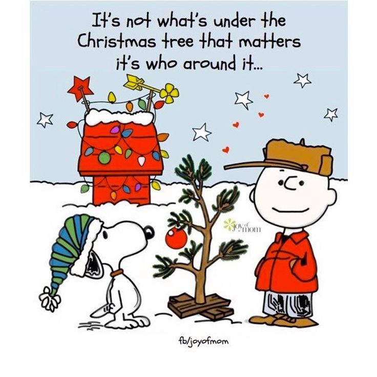 Charlie Brown Christmas Quote
 1000 Charlie Brown Christmas Quotes on Pinterest