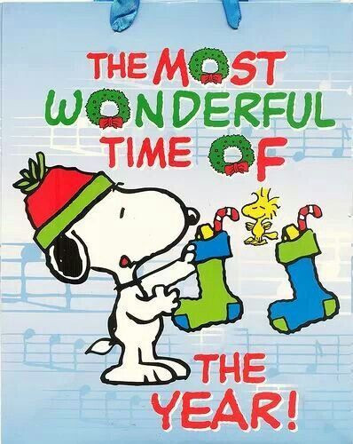 Charlie Brown Christmas Quote
 5900 best Snoopy and The Gang images on Pinterest