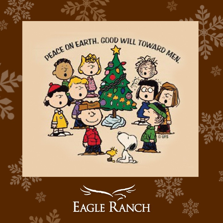 Charlie Brown Christmas Quote
 Best 25 Charlie brown christmas quotes ideas on Pinterest