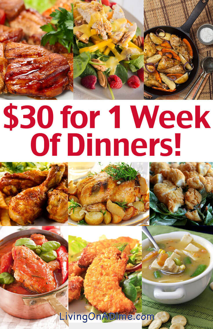 Cheap Dinner Party Ideas
 Cheap Family Dinner Ideas $30 for 1 Week of Dinners