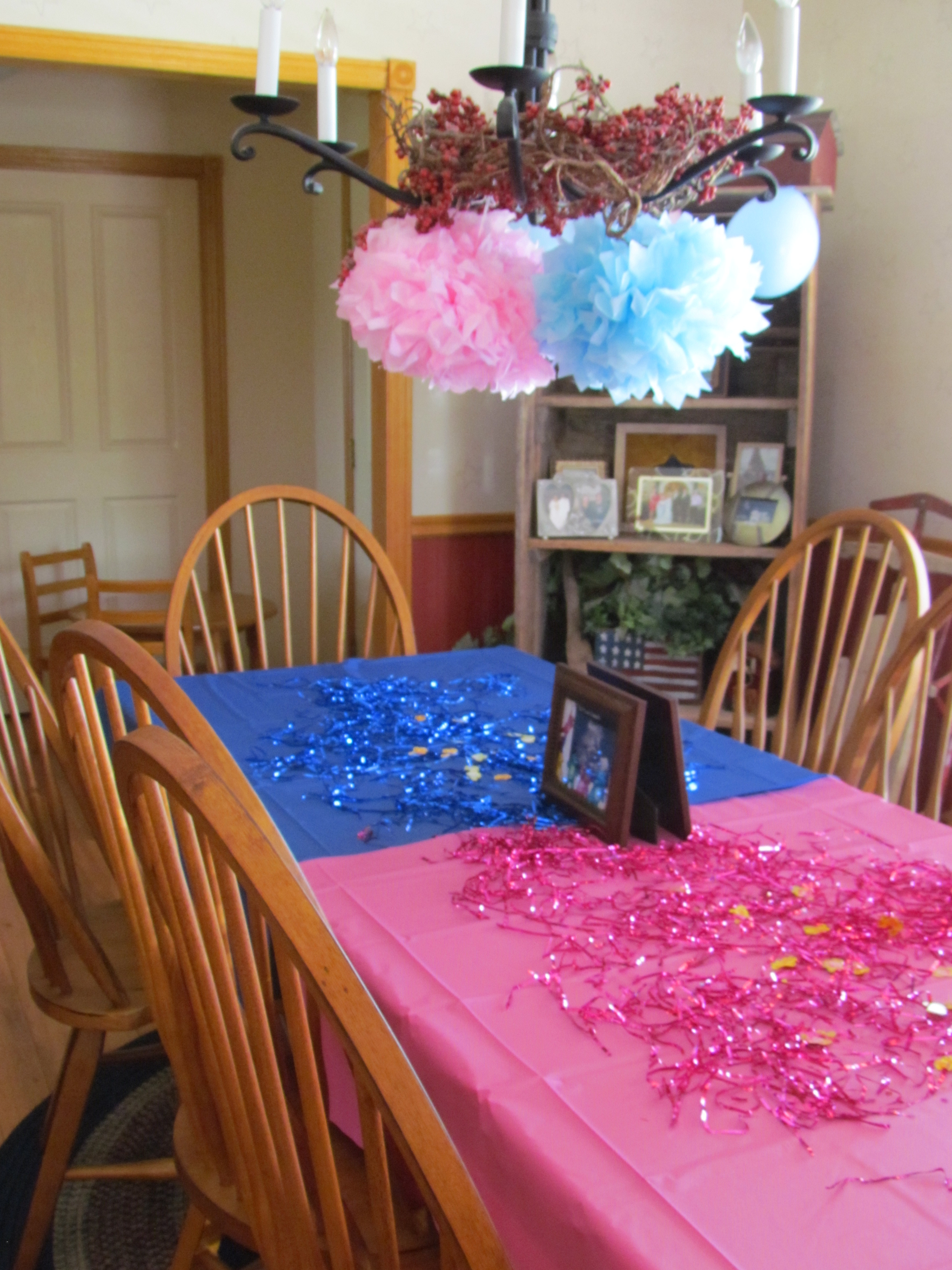 Cheap Gender Reveal Party Ideas
 Growing a Family