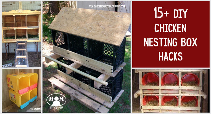 Chicken Nesting Boxes DIY
 15 Chicken Nesting Box Hacks Mom with a PREP