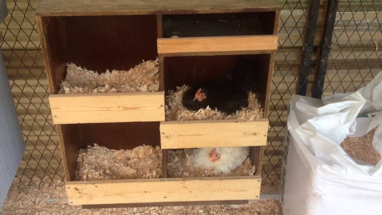 Chicken Nesting Boxes DIY
 DIY Bookshelf Converted Into A Multi Chicken Nest Box