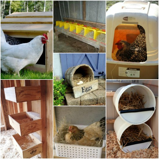 Chicken Nesting Boxes DIY
 22 Chicken Approved Inexpensive Nesting Boxes