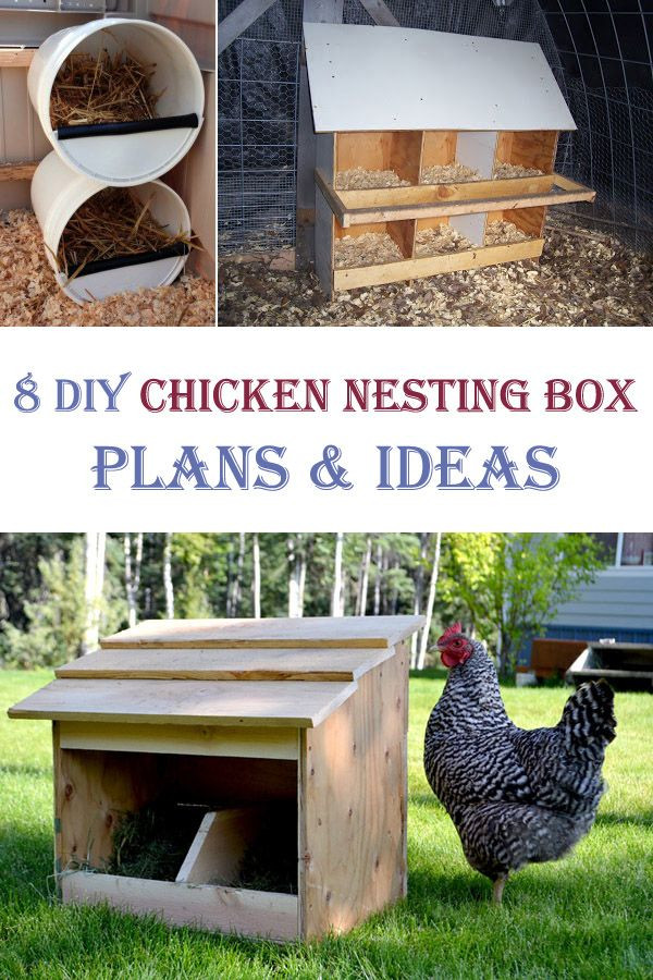 Chicken Nesting Boxes DIY
 25 best ideas about Chicken nesting boxes on Pinterest