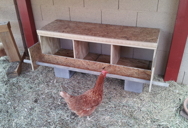 Chicken Nesting Boxes DIY
 laying box design Frompo 1