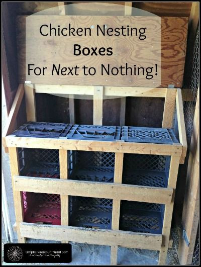 Chicken Nesting Boxes DIY
 Best 25 Chicken nesting boxes ideas on Pinterest