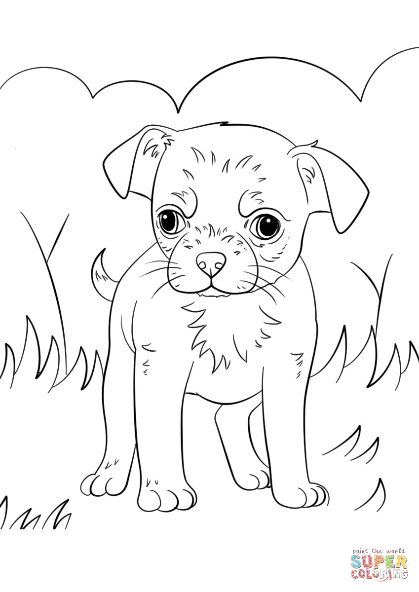 Chihuahua Coloring Pages
 Chihuahua Puppy coloring page