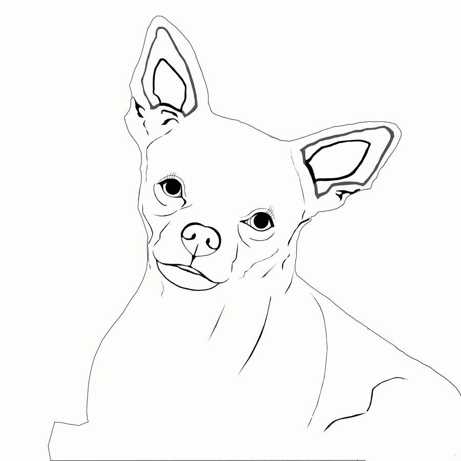 Chihuahua Coloring Pages
 Chihuahua Coloring Page AZ Coloring Pages
