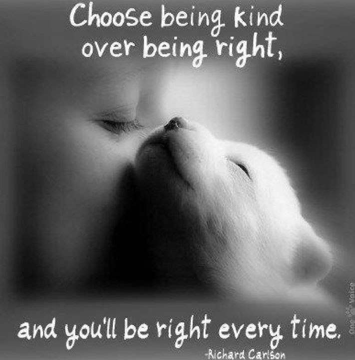 Choose Kindness Quotes
 Being kind = being right…