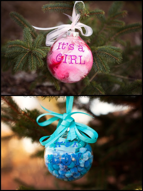 Christmas Gender Reveal Party Ideas
 13 Absolutely Adorable Baby Gender Reveal Ideas
