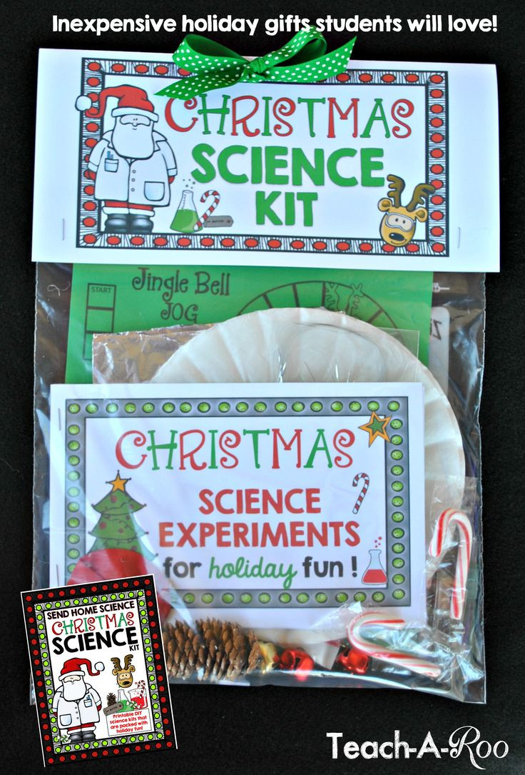 Christmas Gift Ideas For Students
 1000 ideas about Class Christmas Gifts on Pinterest