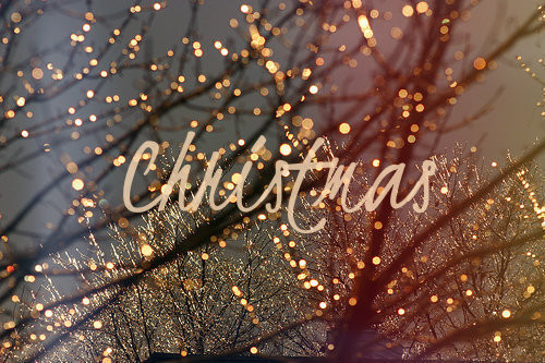 Christmas Quotes Tumblr
 chrismas photography