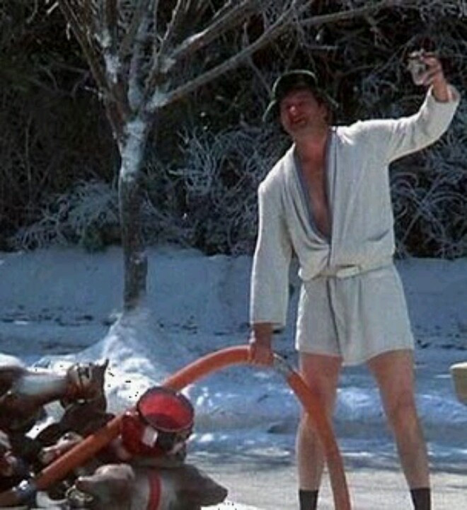 Christmas Vacation Quotes Cousin Eddie
 Cousin Ed is actor Randy Quaid from Texas in National