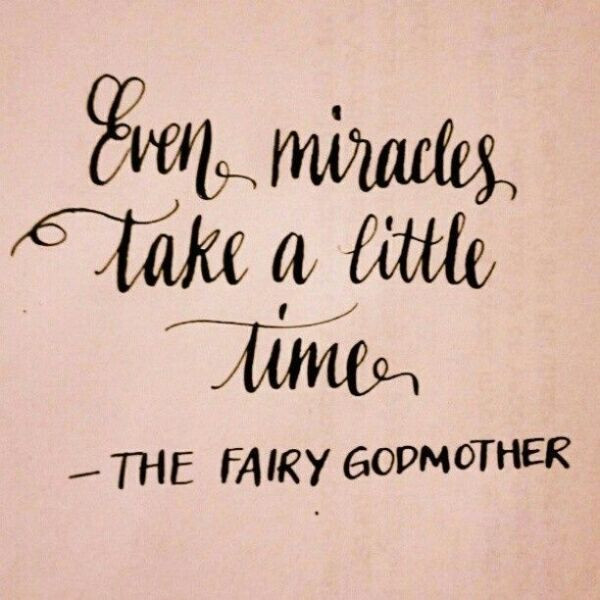 Cinderella Fairy Godmother Quotes
 Fairy Godmother From Cinderella Quotes QuotesGram