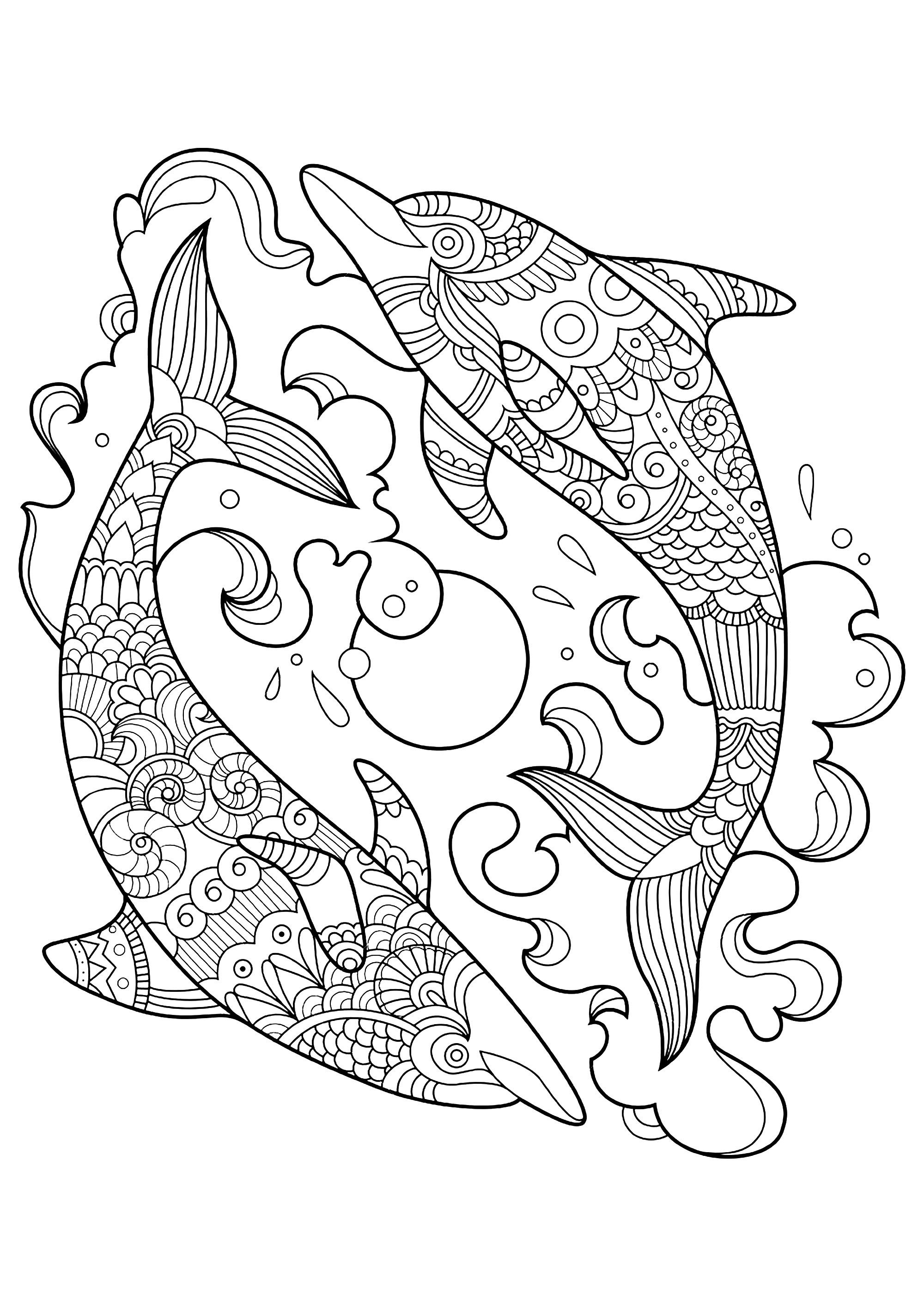 Coloring Book Pages For Kids
 Dolphins to color for children Dolphins Kids Coloring Pages