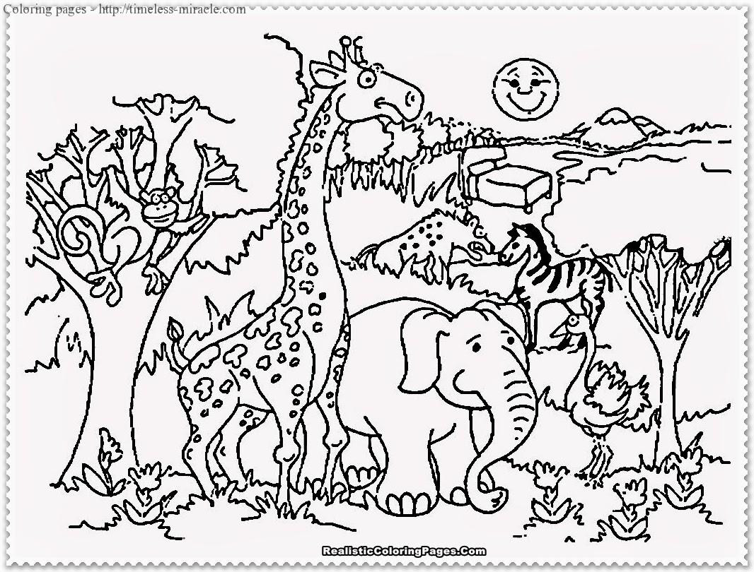 Coloring Books For Kids Animal
 Zoo animals coloring page timeless miracle