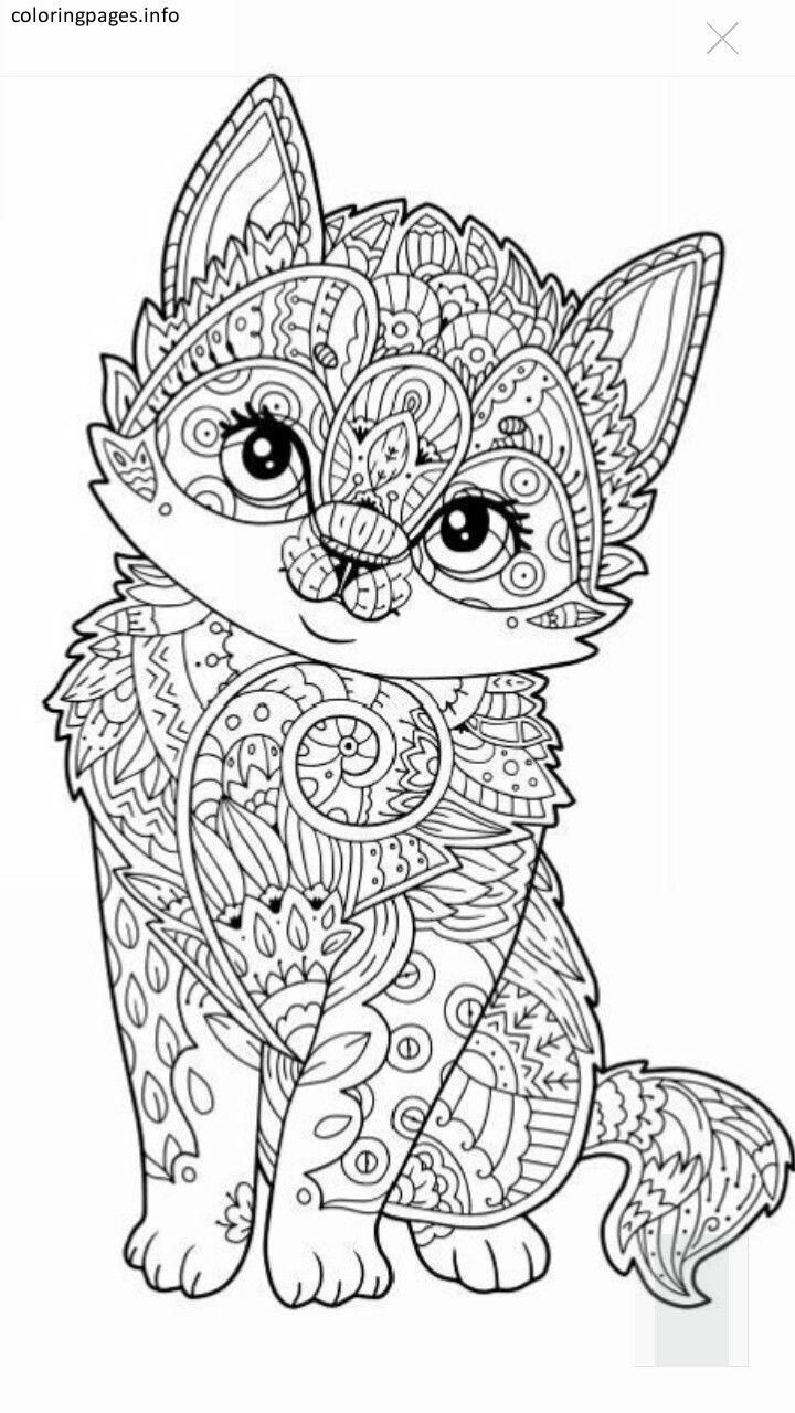 Coloring Books For Kids Animal
 Cat Animal Mandala Coloring Pages Mandala Coloring Pages