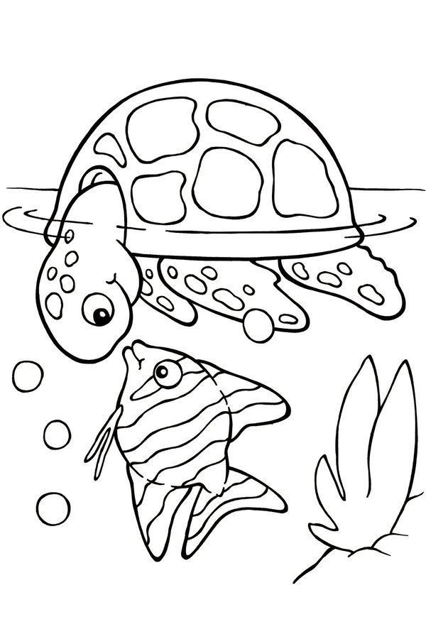 Coloring Books For Kids Animal
 Free Printable Turtle Coloring Pages For Kids Picture 4