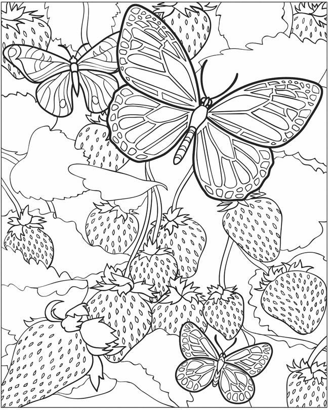 Coloring Books For Older Kids
 Cool Coloring Pages For Older Kids Coloring Home