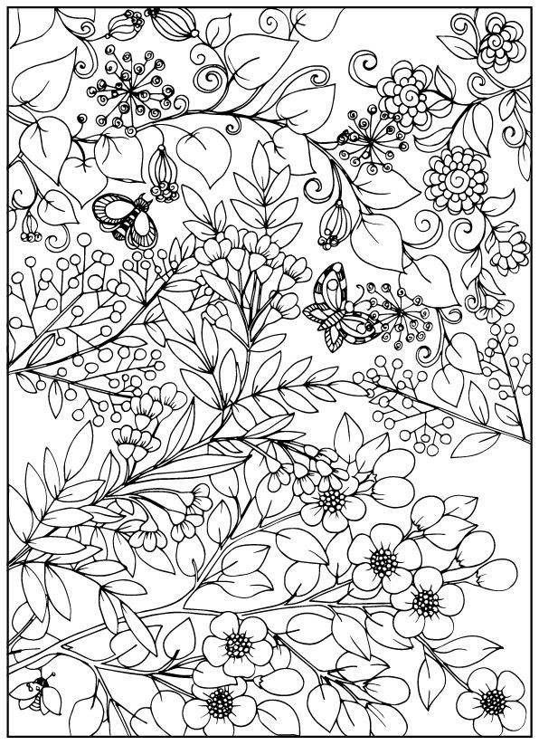 Coloring Books For Older Kids
 Coloring book for adult and older children Coloring page