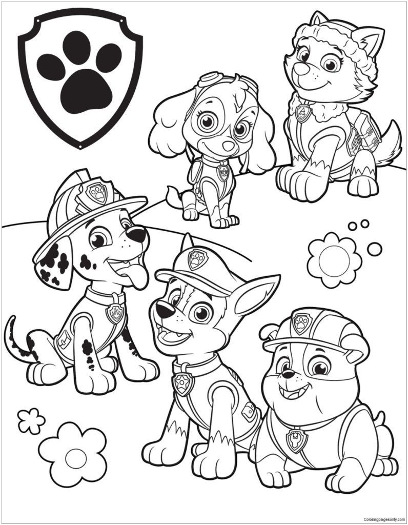 Coloring Pages Boys Paw Patrol
 Paw Patrol Coloring Pages