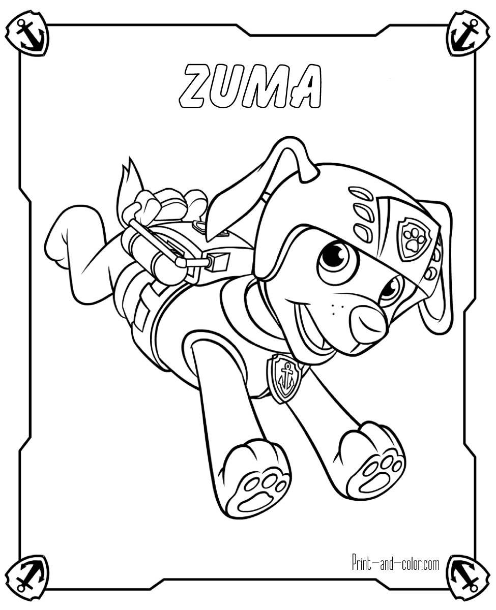 Coloring Pages Boys Paw Patrol
 Paw Patrol coloring pages