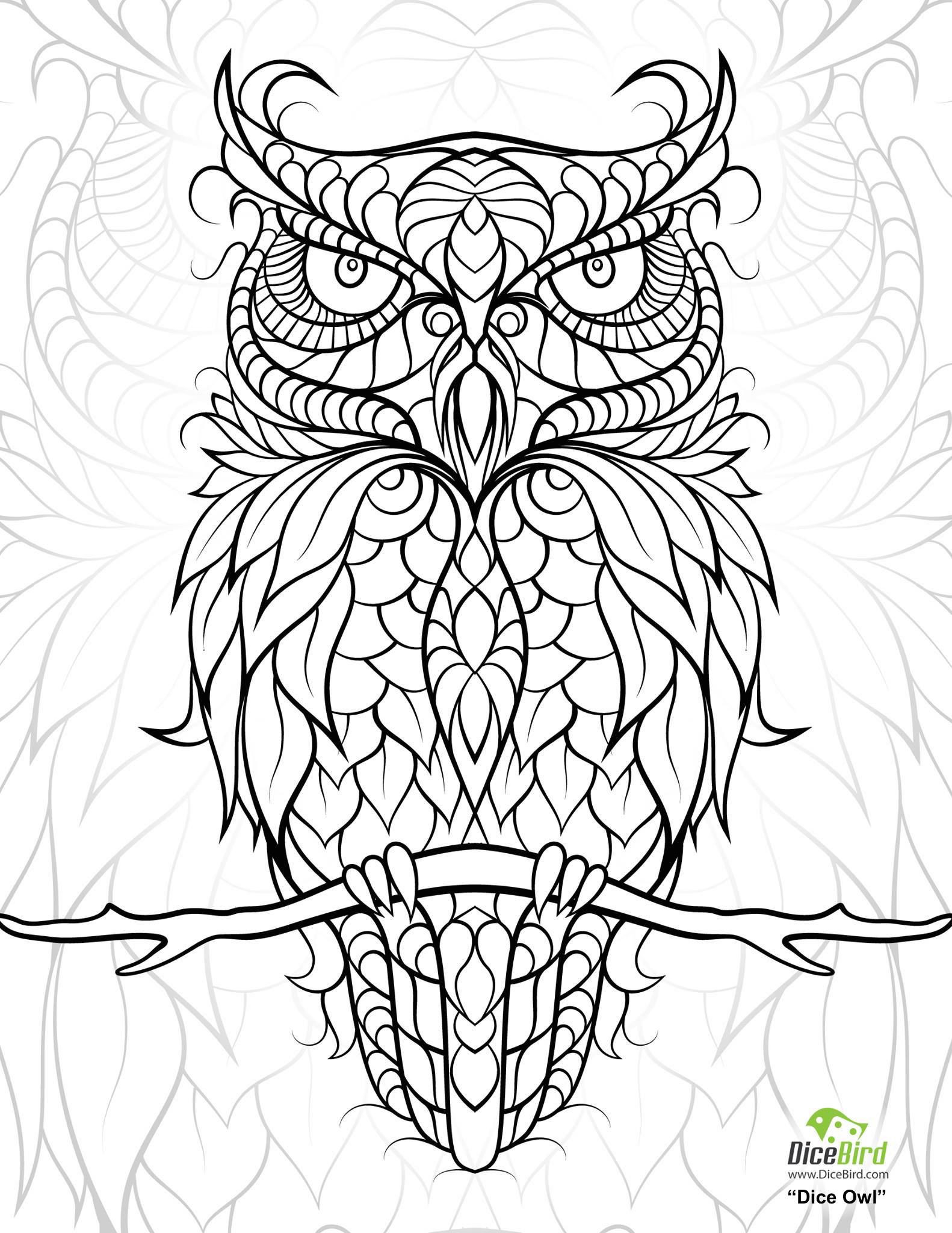 Coloring Pages For Adult Boys
 diceowl free printable adult coloring pages