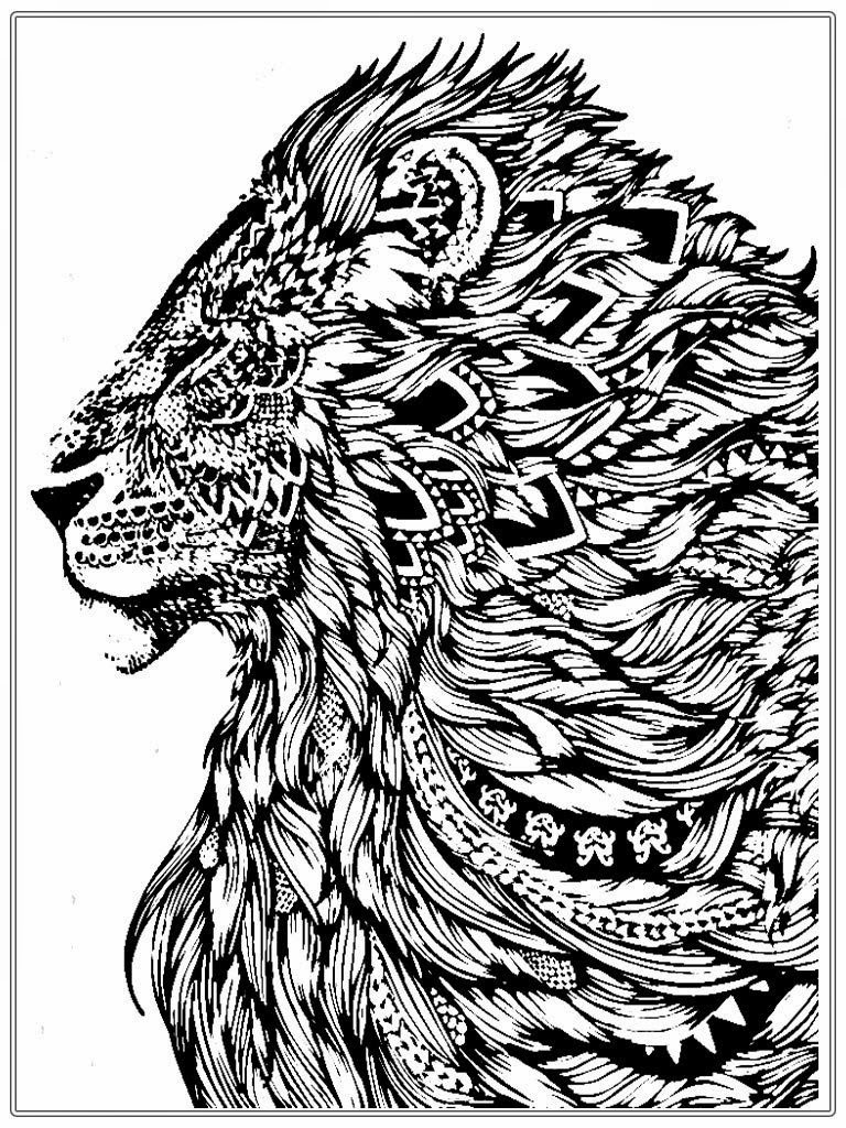 Coloring Pages For Adult Boys
 Realistic Lion Adult Coloring Pages Free