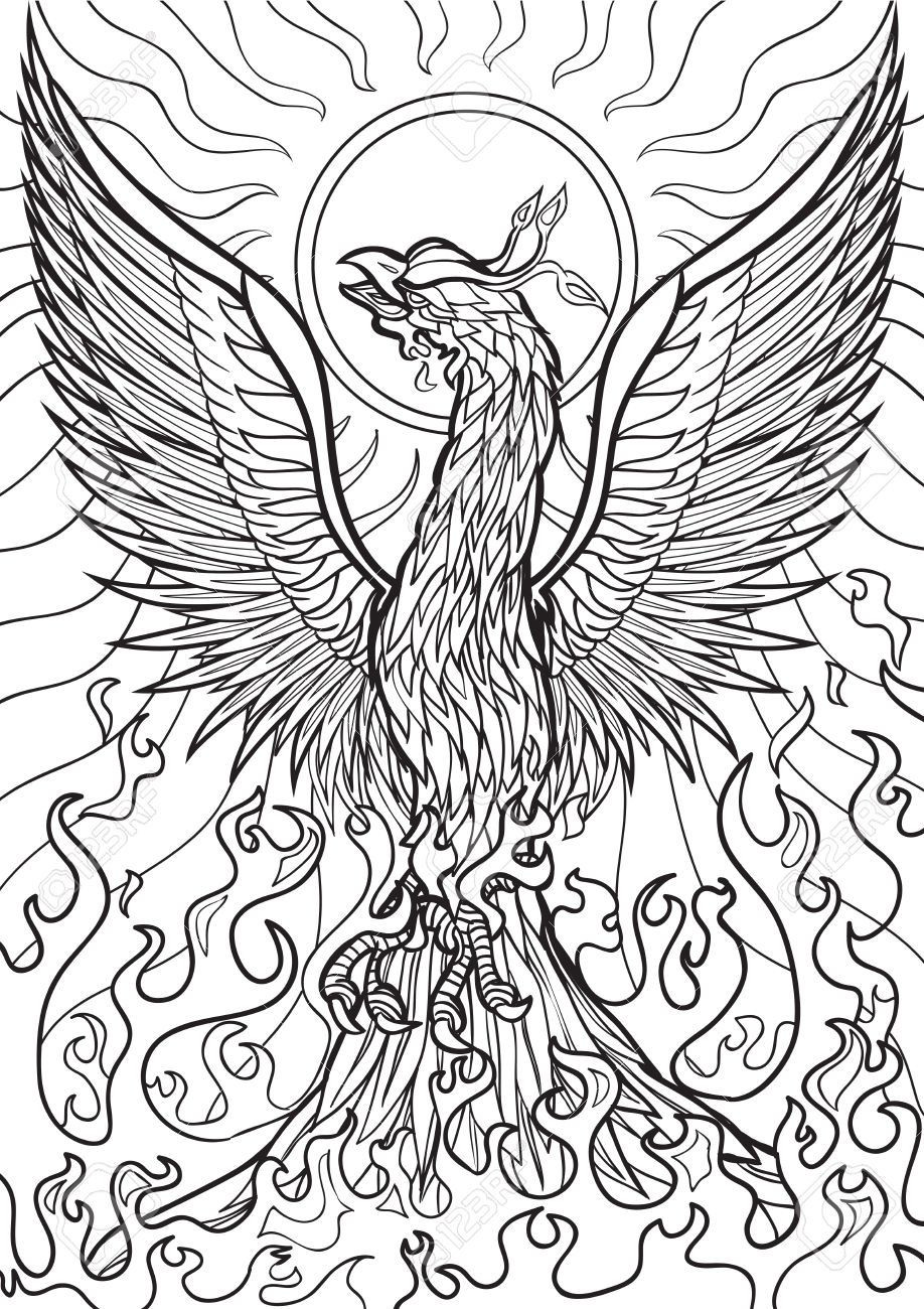 Coloring Pages For Adult Boys
 Image result for adult coloring book pages