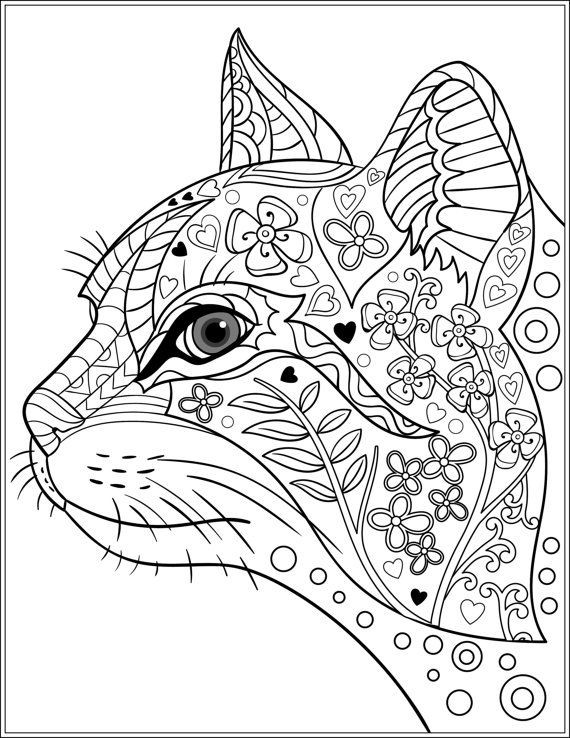 Coloring Pages For Adults Cats
 629 best Adult Colouring Cats Dogs Zentangles images on
