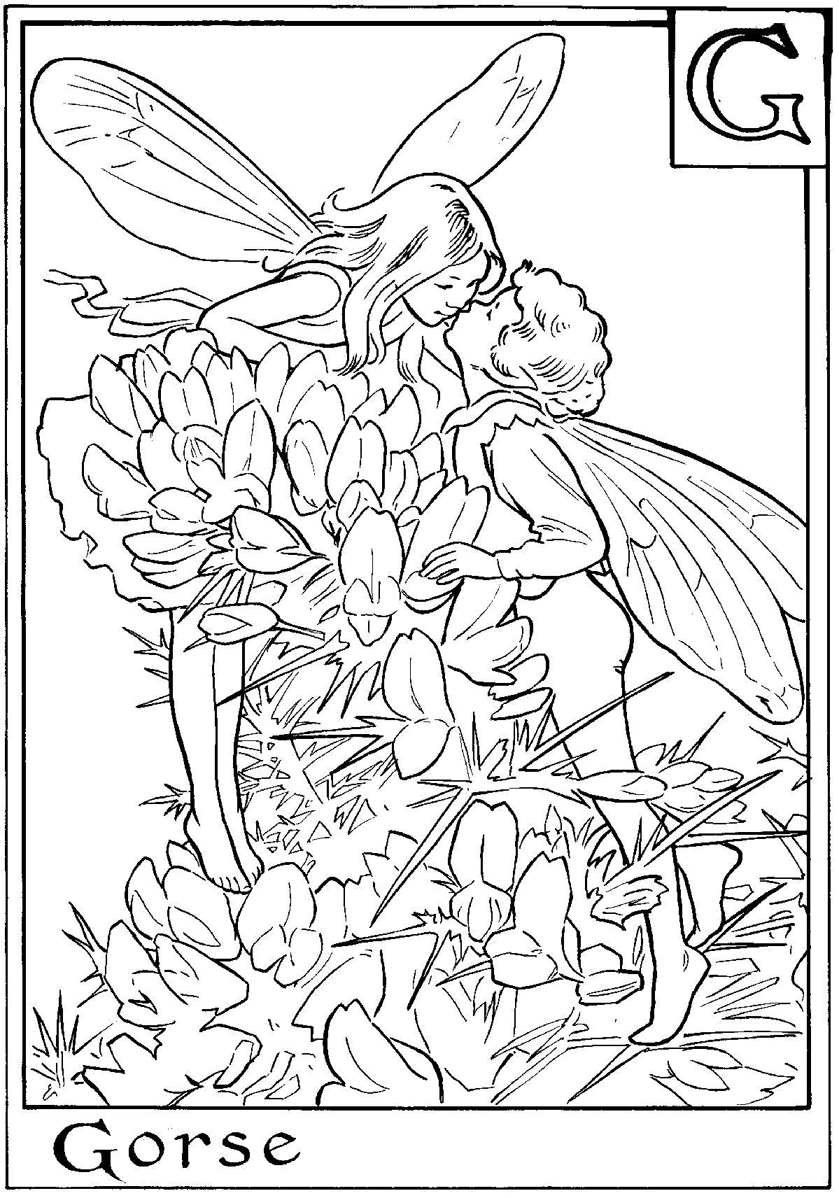 Coloring Pages For Adults Difficult Fairies
 Free Printable Fairy Coloring Pages For Kids