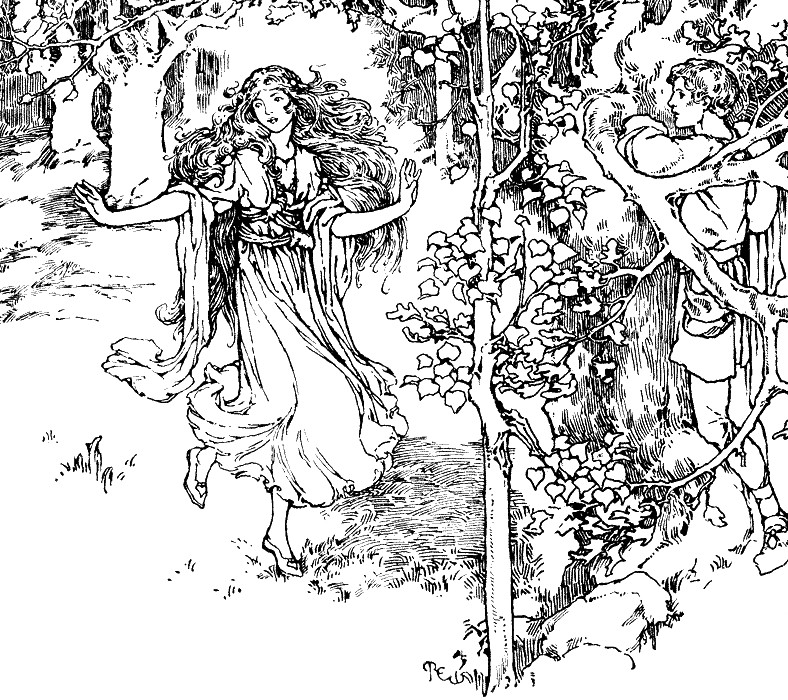Coloring Pages For Adults Difficult Fairies
 FAIRY COLORING PAGES