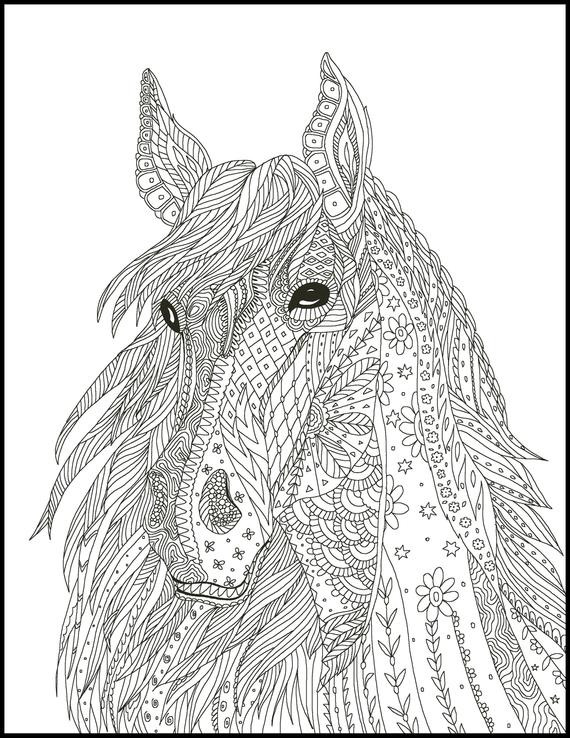 Coloring Pages For Adults Horses
 Horse Coloring Page for Adults Horse Adult Coloring Page