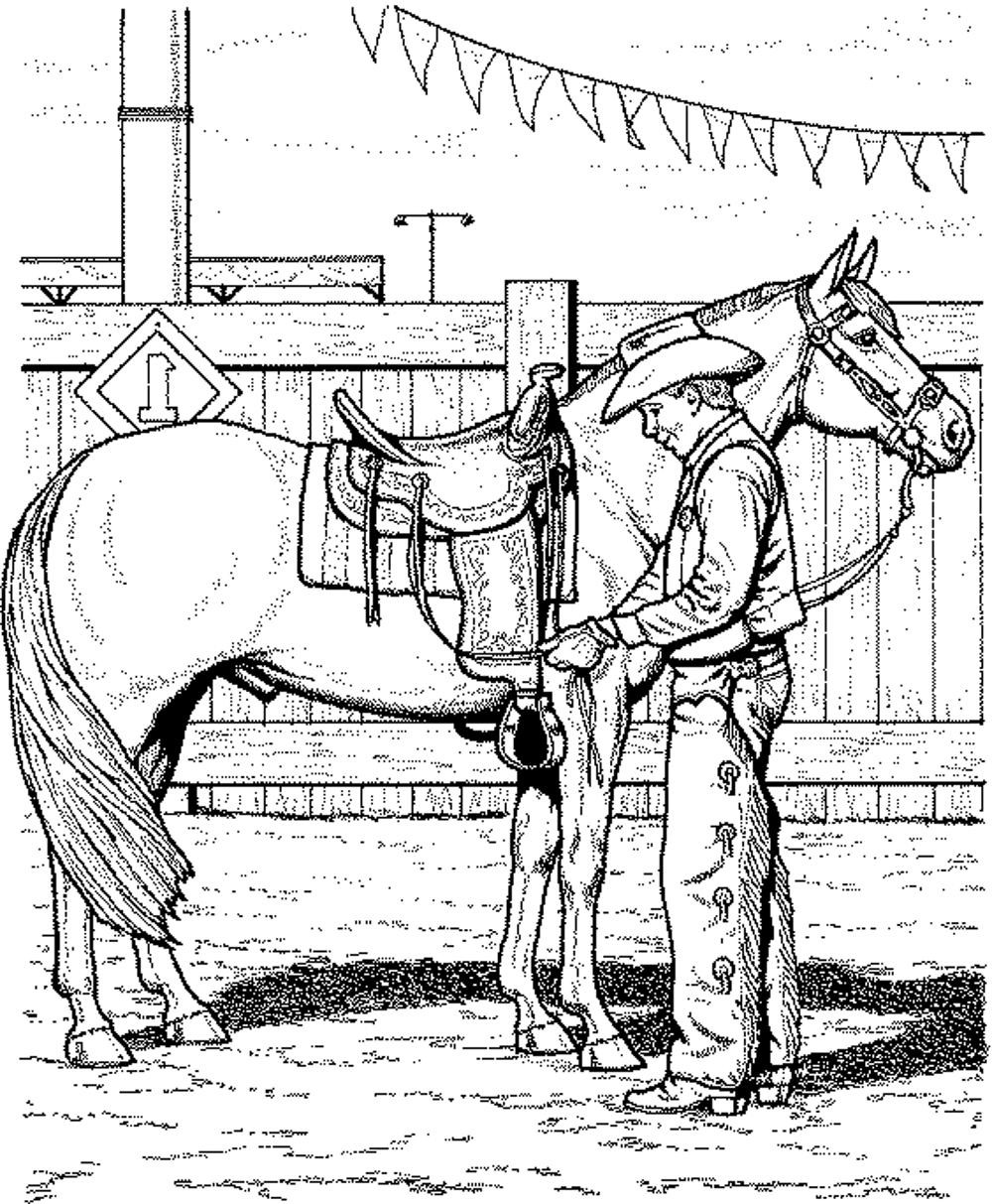 Coloring Pages For Adults Horses
 horse coloring pages for adults