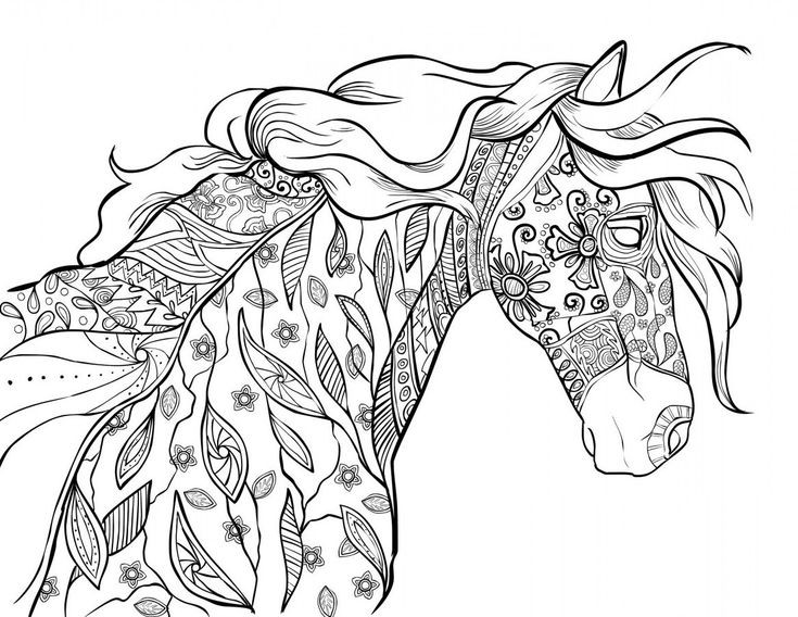 Coloring Pages For Adults Horses
 The Amazing World of Horses Adult Coloring Book I Cindy