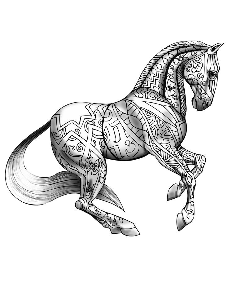 Coloring Pages For Adults Horses
 Best 25 Horse coloring pages ideas on Pinterest
