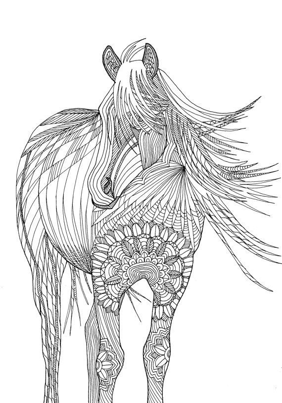 Coloring Pages For Adults Horses
 Horse Amazing Animals Colouring Pages by Joenay