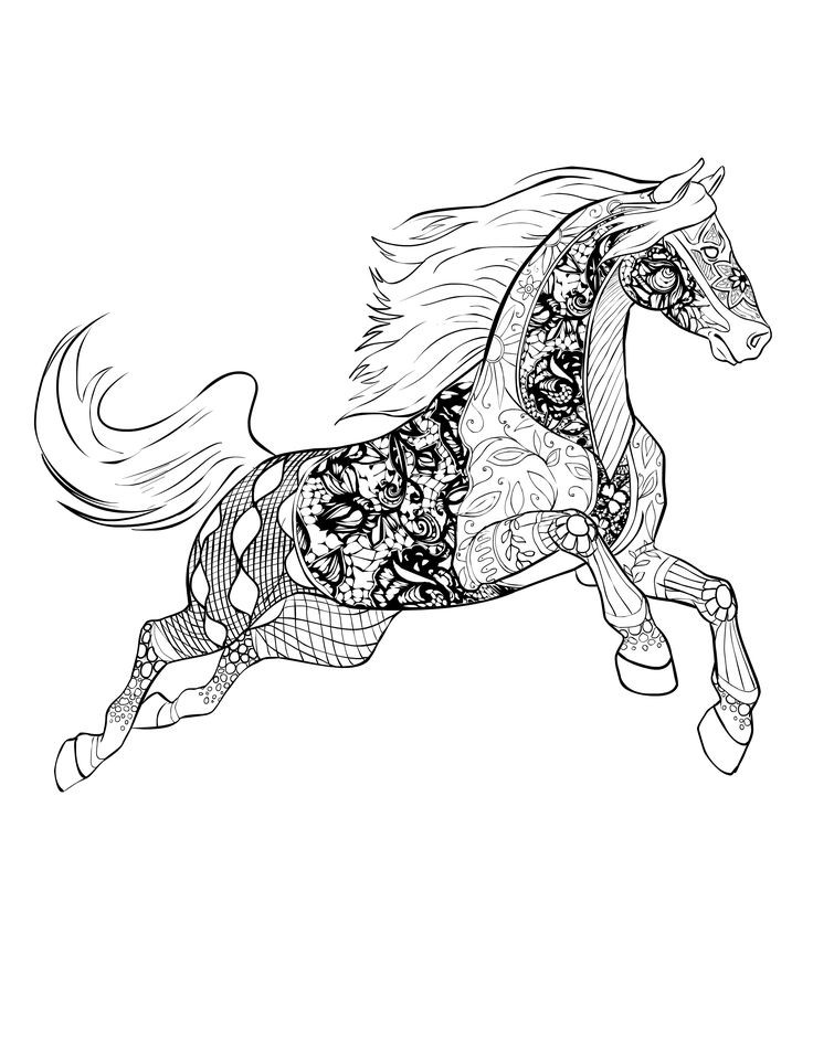 Coloring Pages For Adults Horses
 Horse free Selah Works