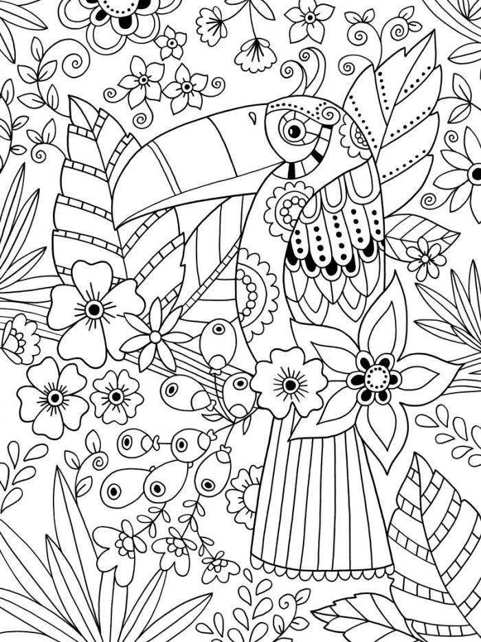 Coloring Pages For Adults Slutty Girls
 Toucan adult colouring