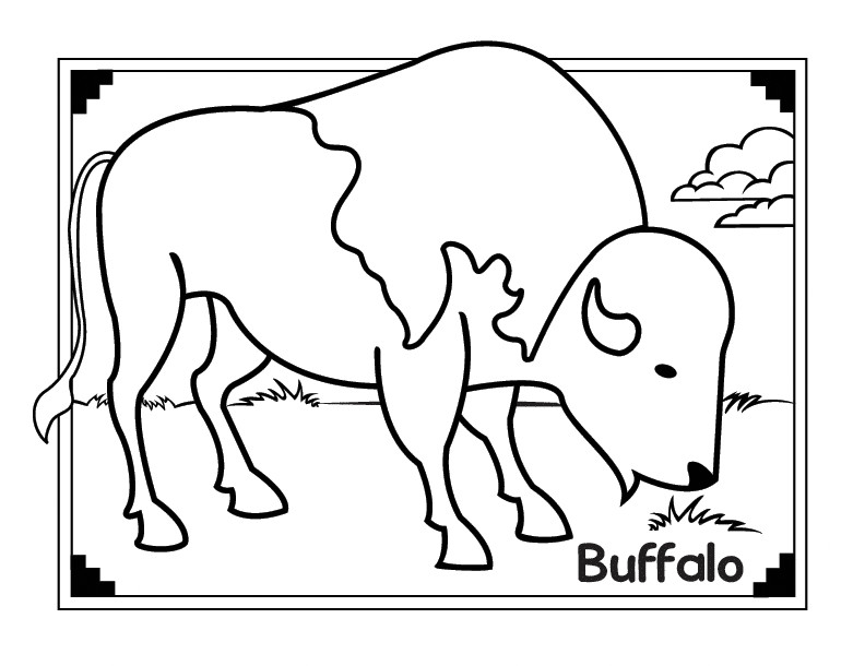 Coloring Pages For Boys Bufulo
 African Buffalo coloring page Animals Town Free