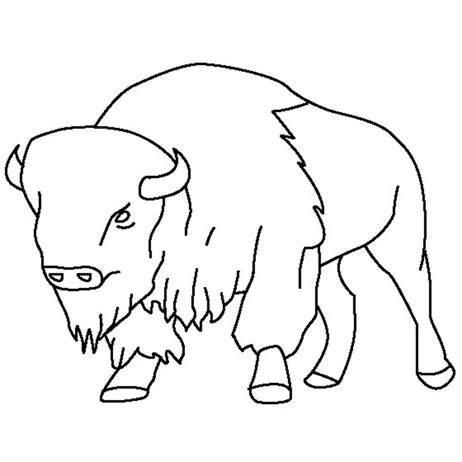 Coloring Pages For Boys Bufulo
 Free Printable Bison Coloring Pages For Kids